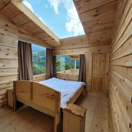 ホテル Ecohouse Svaneti メスティア エクステリア 写真