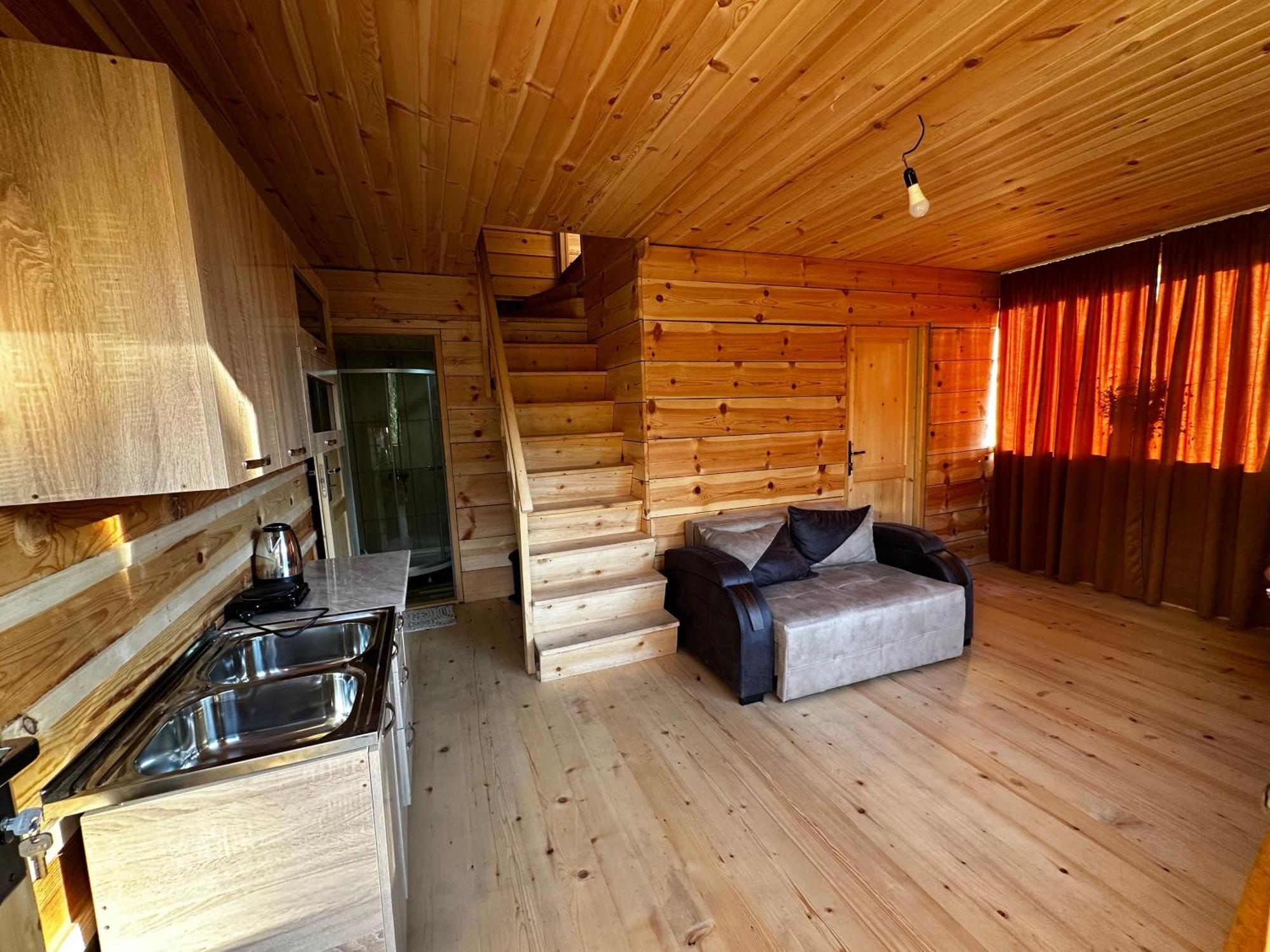 ホテル Ecohouse Svaneti メスティア エクステリア 写真