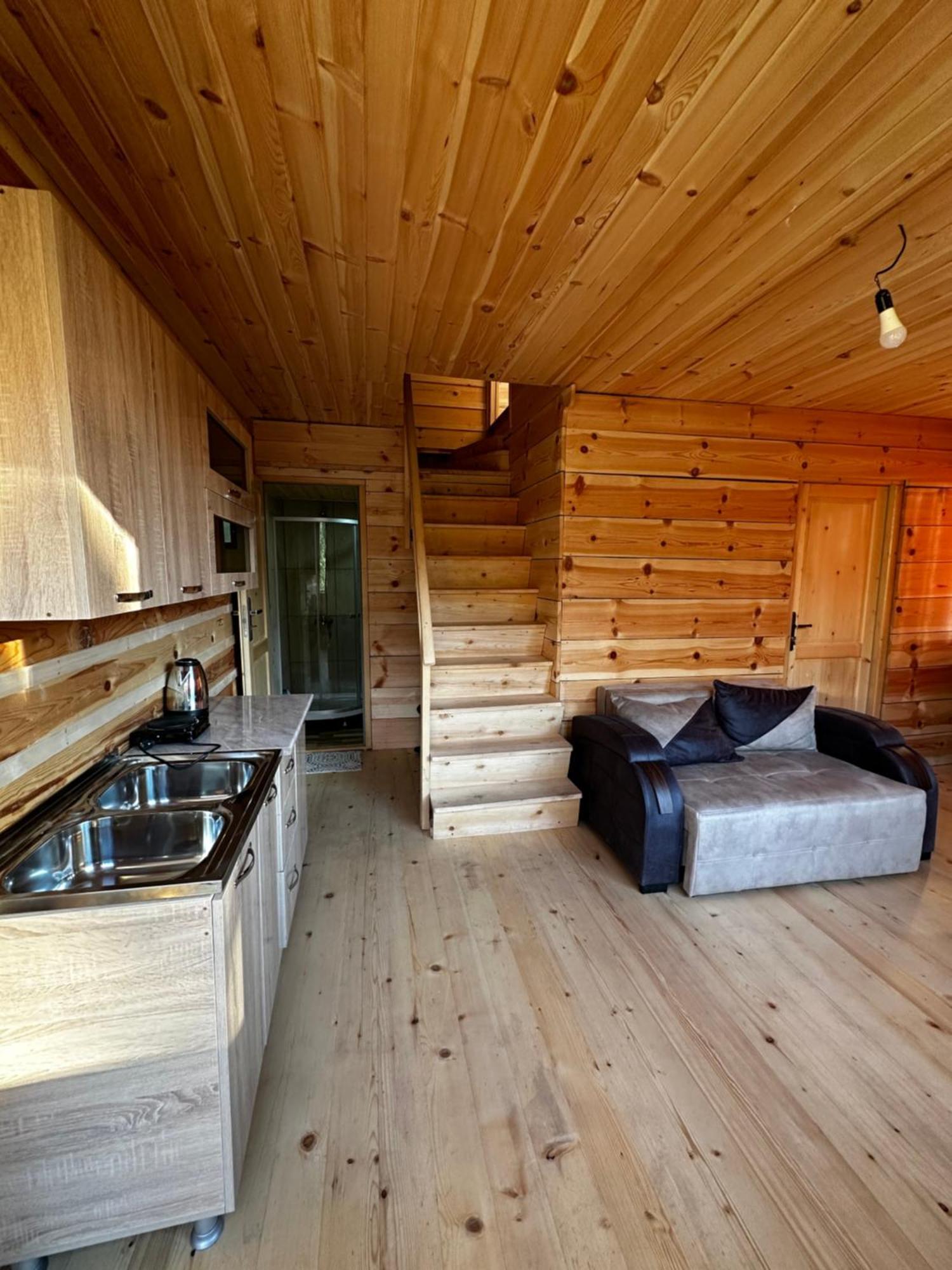 ホテル Ecohouse Svaneti メスティア エクステリア 写真